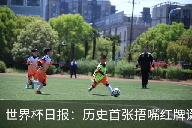 世界杯日报：历史首张捂嘴红牌诞生 海地土耳其提前出局